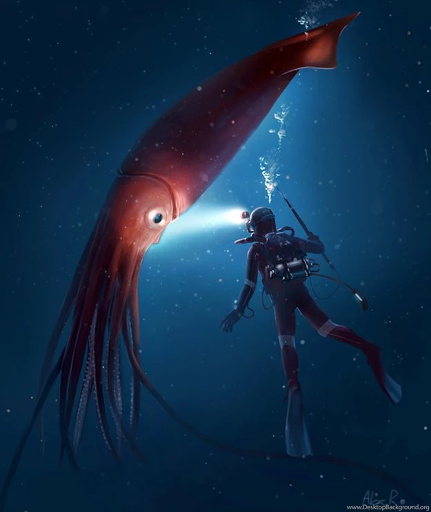 Giantsquid DeviantArt