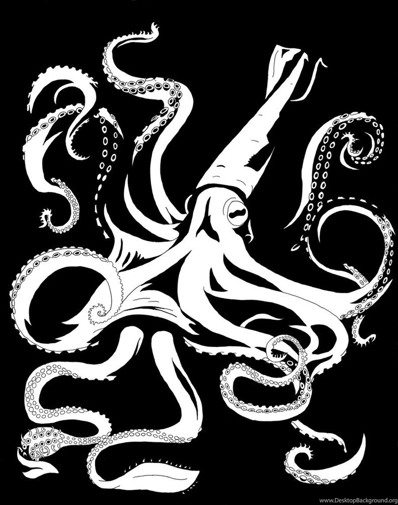 Giant Squid B+w By Eozspike On DeviantArt