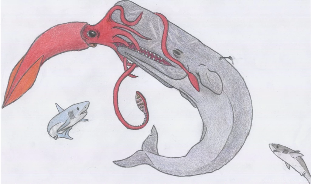 Sperm Whale V.s Giant Squid By Dark Hyena On DeviantArt