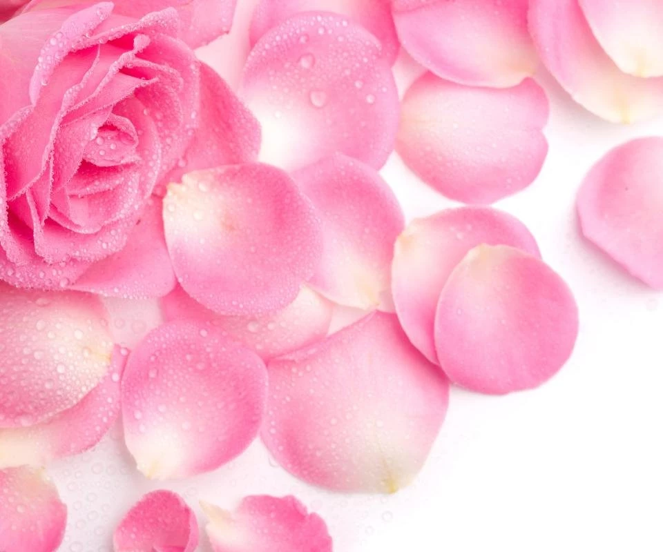 HD Android Wallpapers Img 19