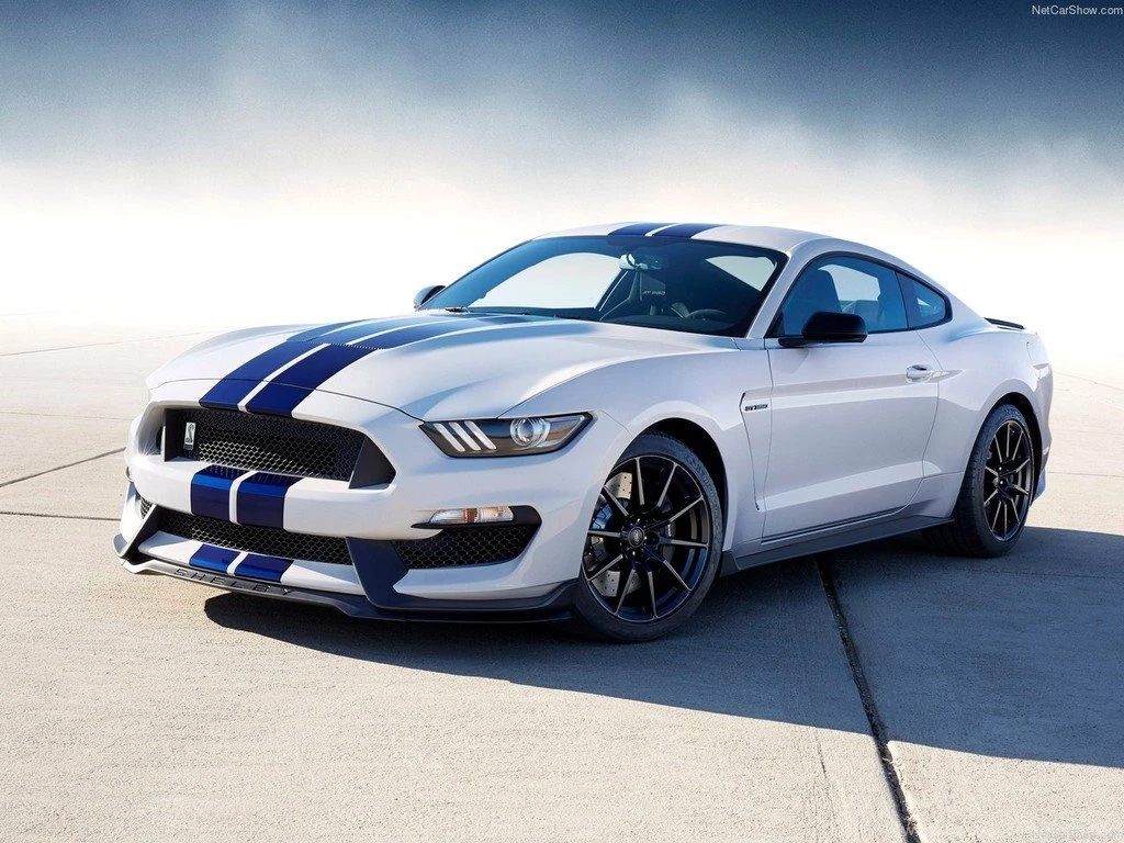 Ford Mustang GT500 2013 Image