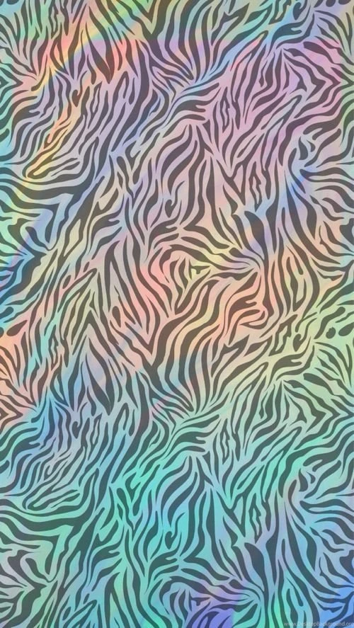 Zebra Backgrounds Wallpapers Iphone