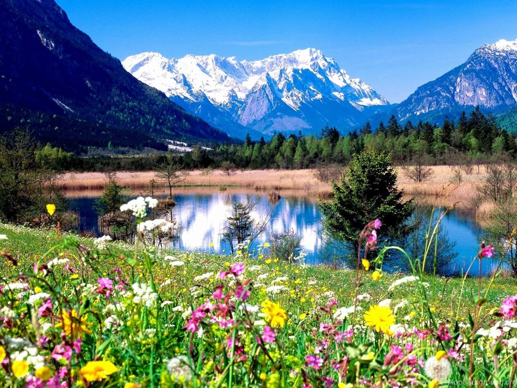 Springtime Computer Wallpapers Background Images
