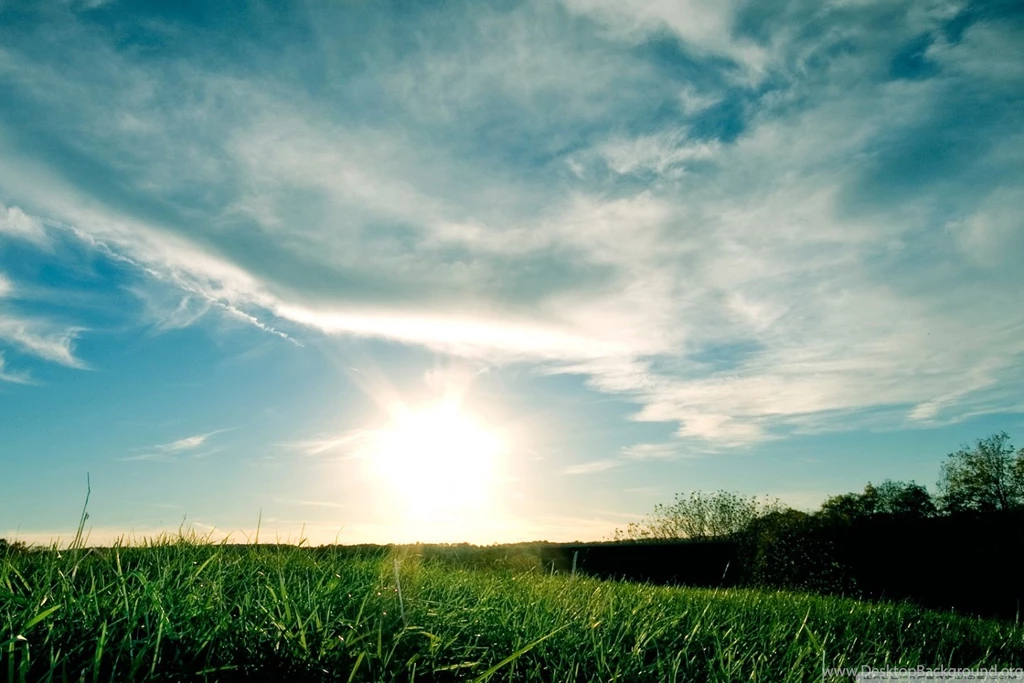 Sunny Day wallpaper 36.jpg