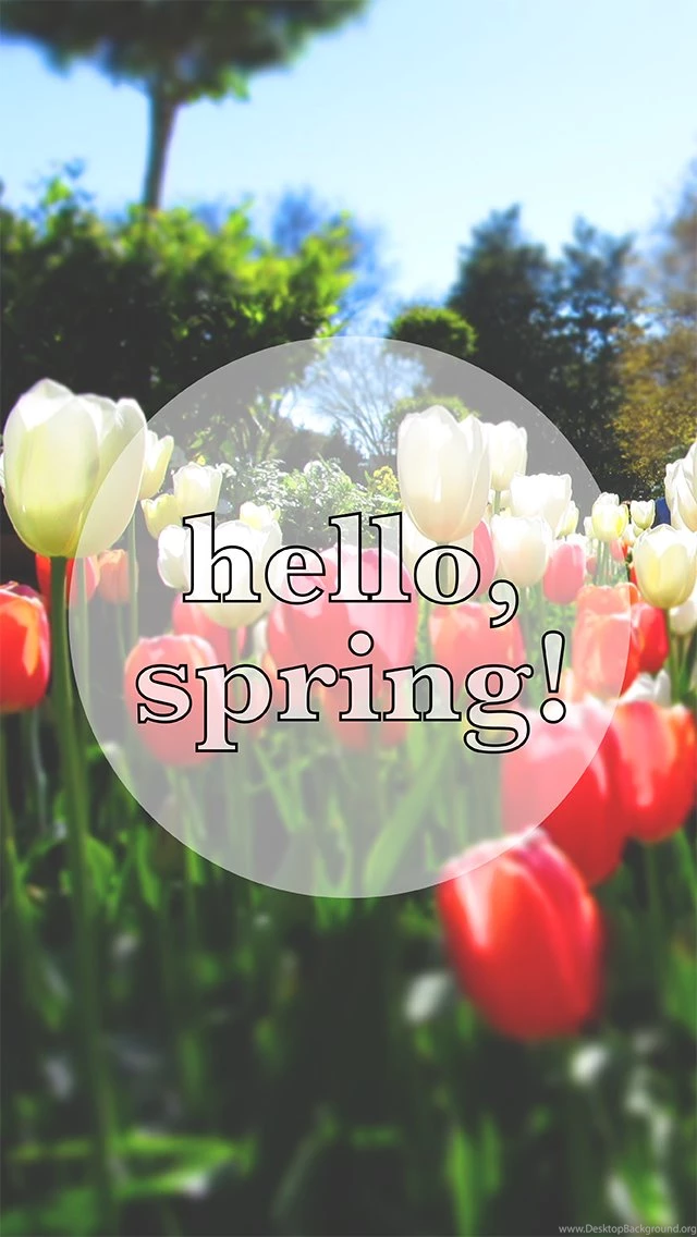 We Can Make Anything: Springtime Iphone Wallpapers