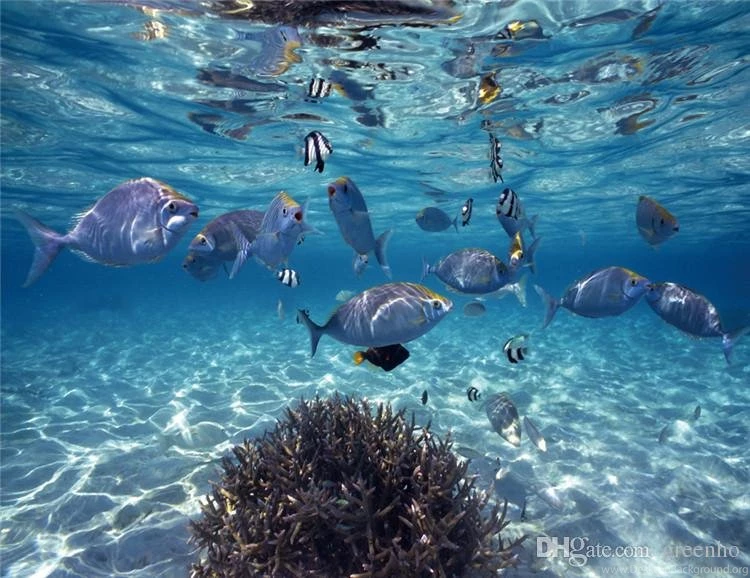 Custom Photo Wallpapers 3D Stereoscopic Underwater World Of Marine ...