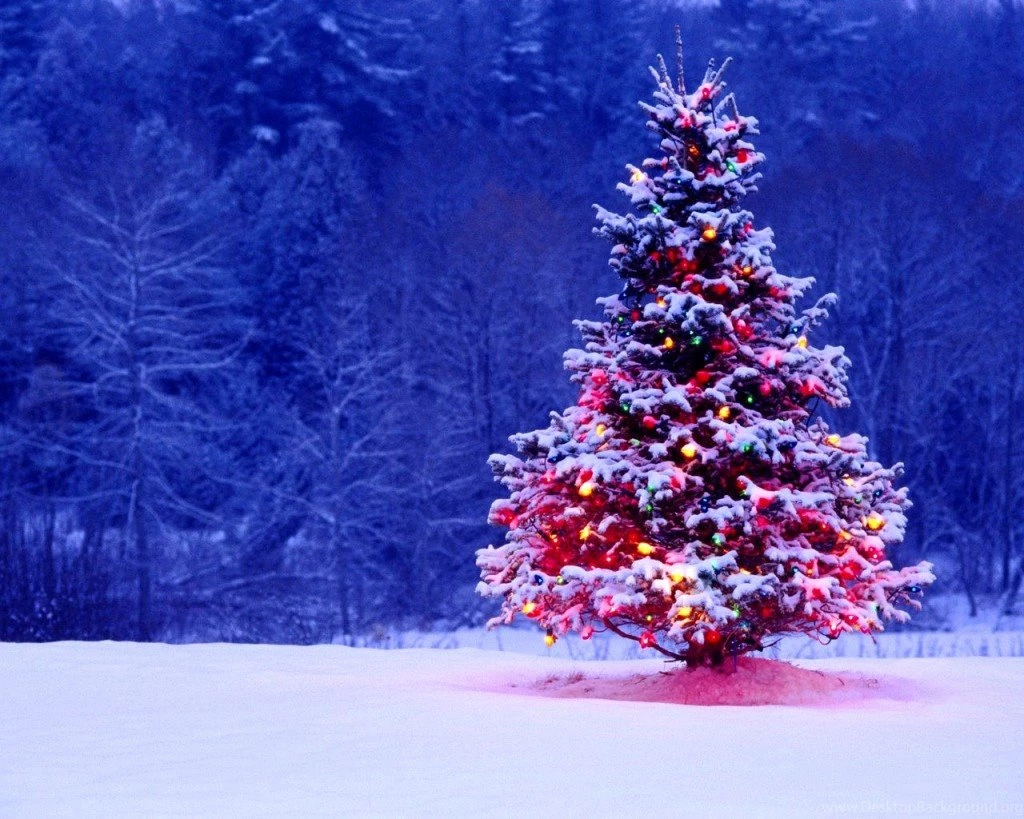 Outdoor Christmas Pictures HD Wallpapers Lovely