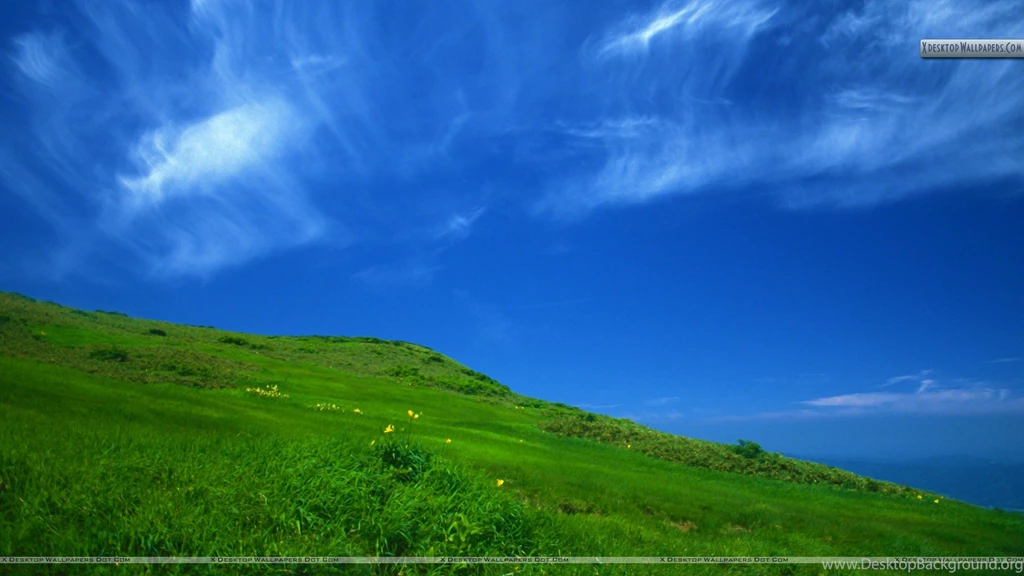 Clear Sky In A Sunny Day Wallpapers