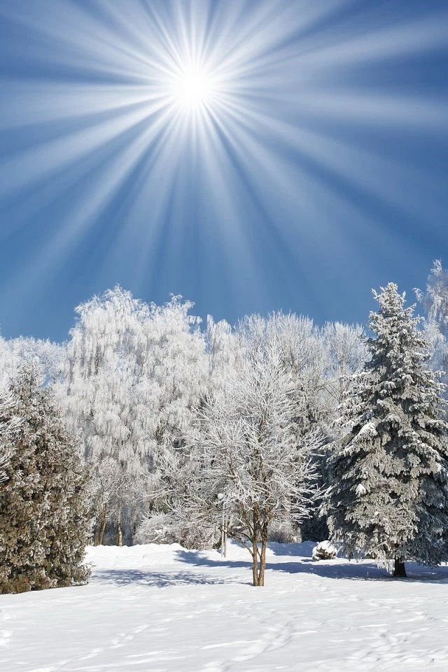 Sunny Winter Day HD Desktop Wallpapers : High Definition ...