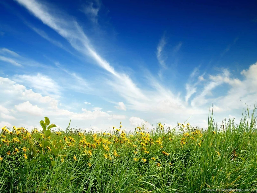 Sunny Day Backgrounds Wallpapers Cave