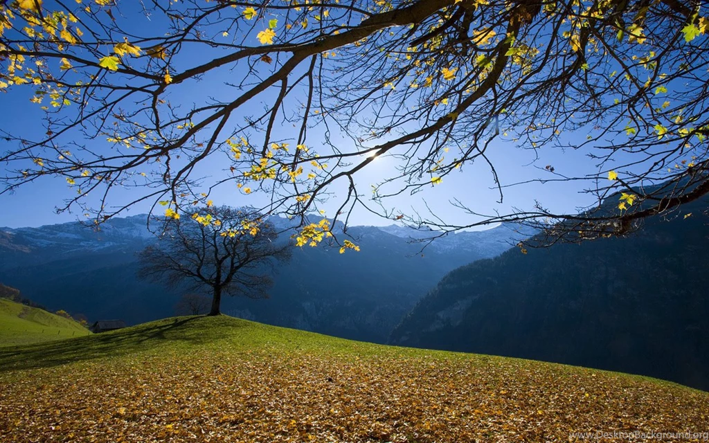 Natural Wallpapers Com Widescreen HD Wallpapers