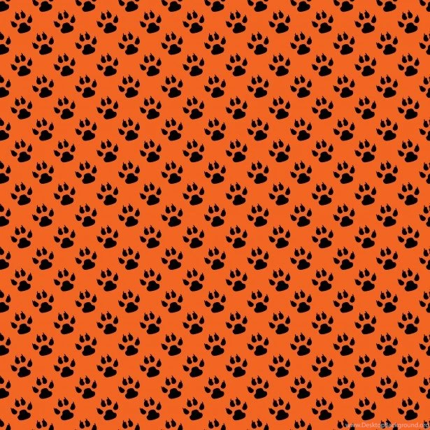 Paw Print : Cute Puppy Dog Paw Prints Hot Pink Black. Paw Prints ...