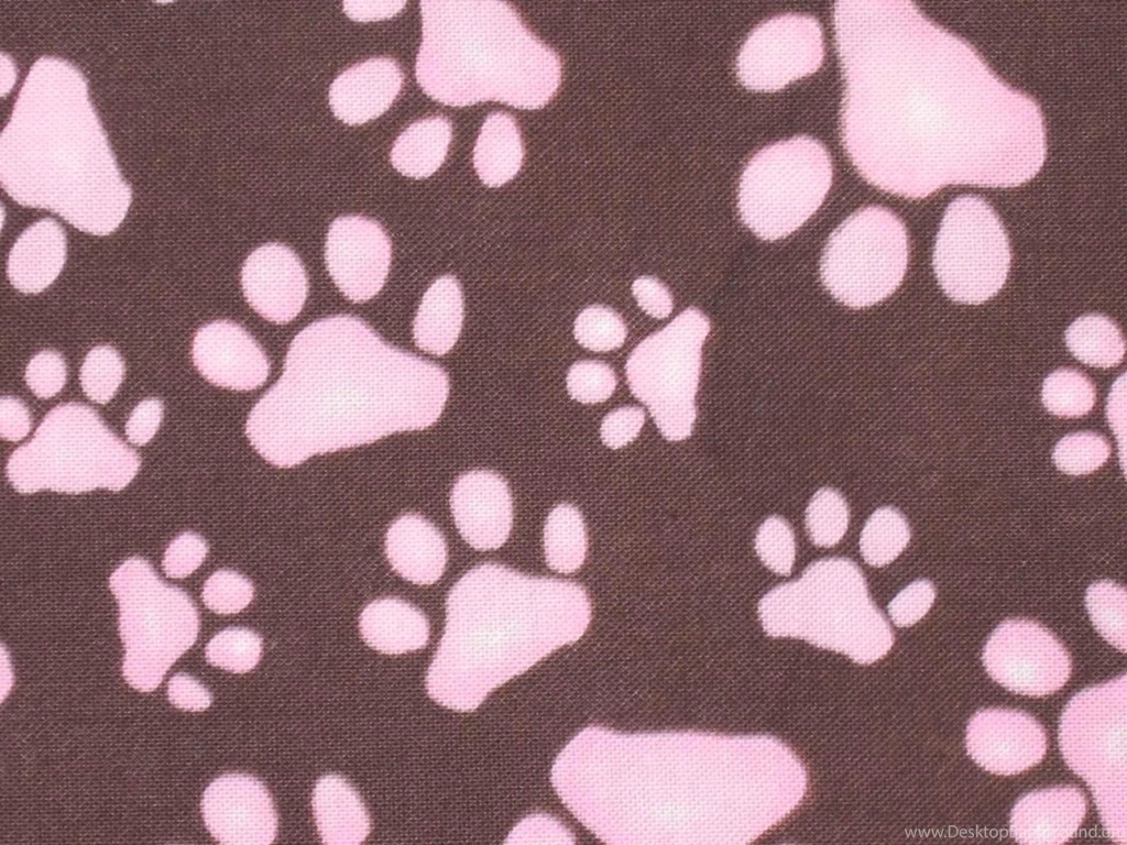 Dog Paw Wallpapers Download