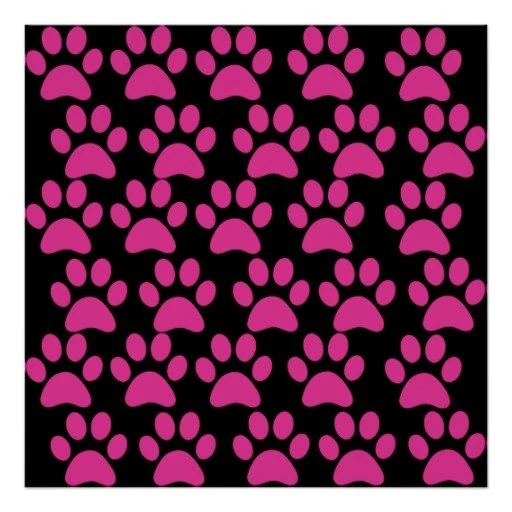 Cute Puppy Dog Paw Prints Hot Pink Black Art