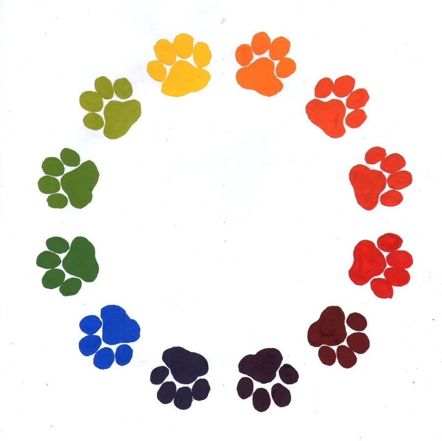 Wildcat Paw Print Cliparts.co