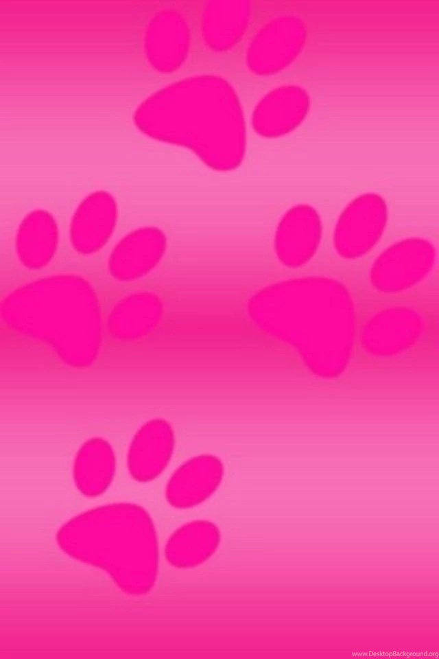 Pink Paw Prints Wallpapers
