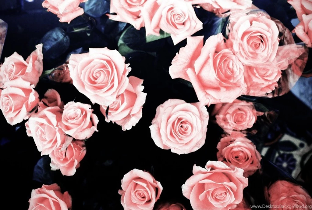 picture Rose Gold Cute Wallpapers For Chromebooks girly wallpapers widescreen desktop