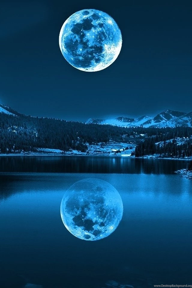 Best Hd Wallpapers For My Phone   Great Funny Desktop Wallpapers ...