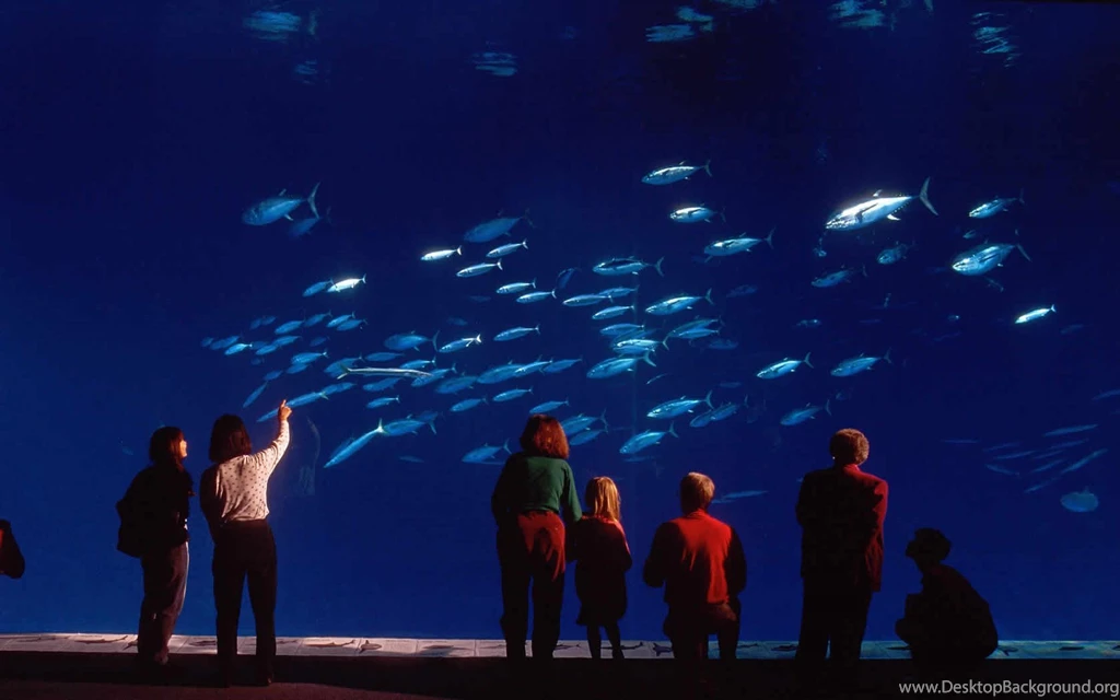 Monterey ★ Pacific Coast Highway Big Sur Road Trip Tourist Photo ...