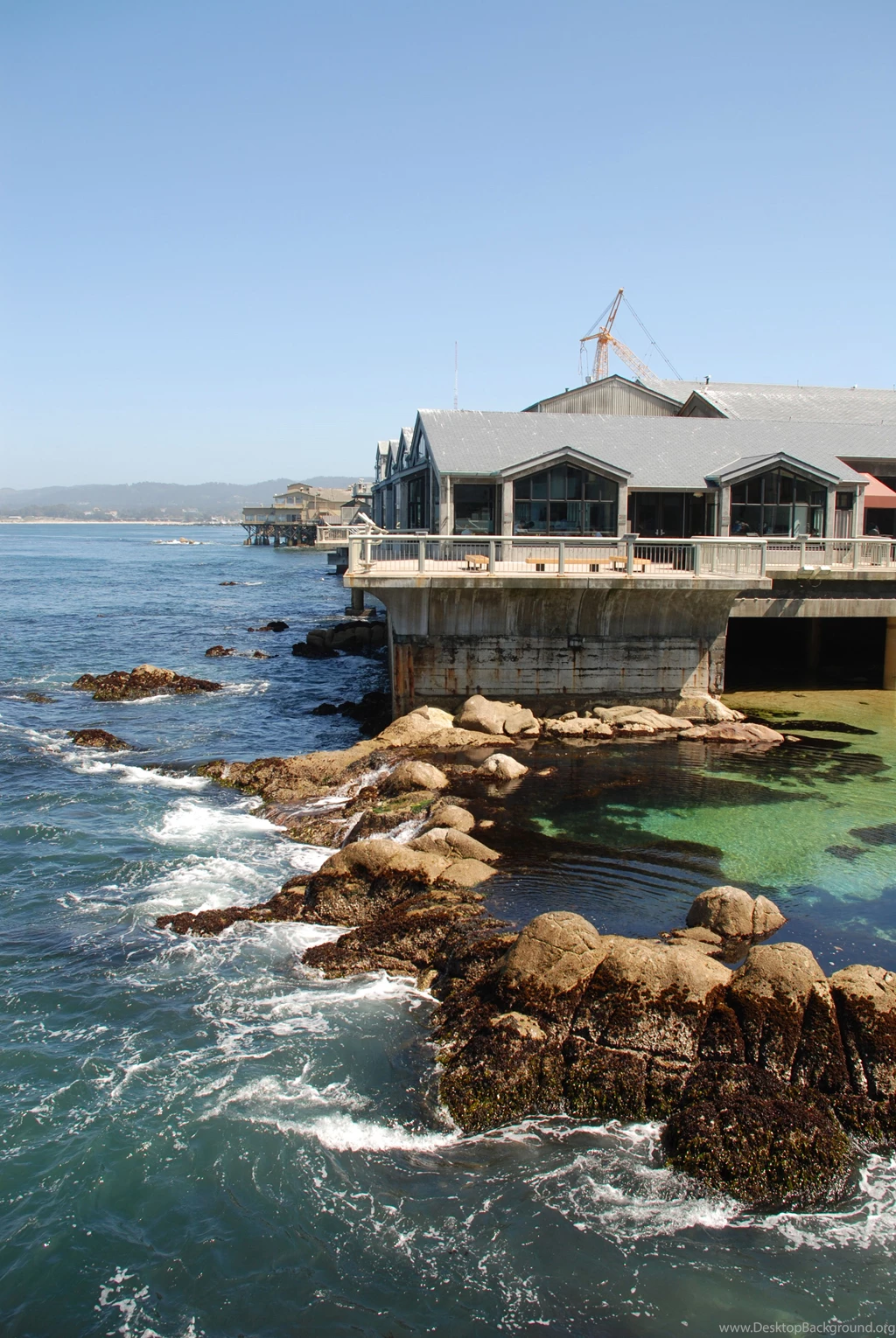 A Day At The Monterey Bay Aquarium