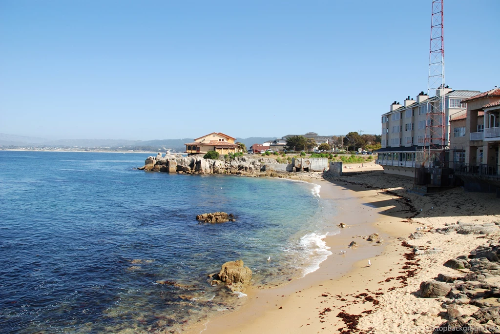 A Day At The Monterey Bay Aquarium