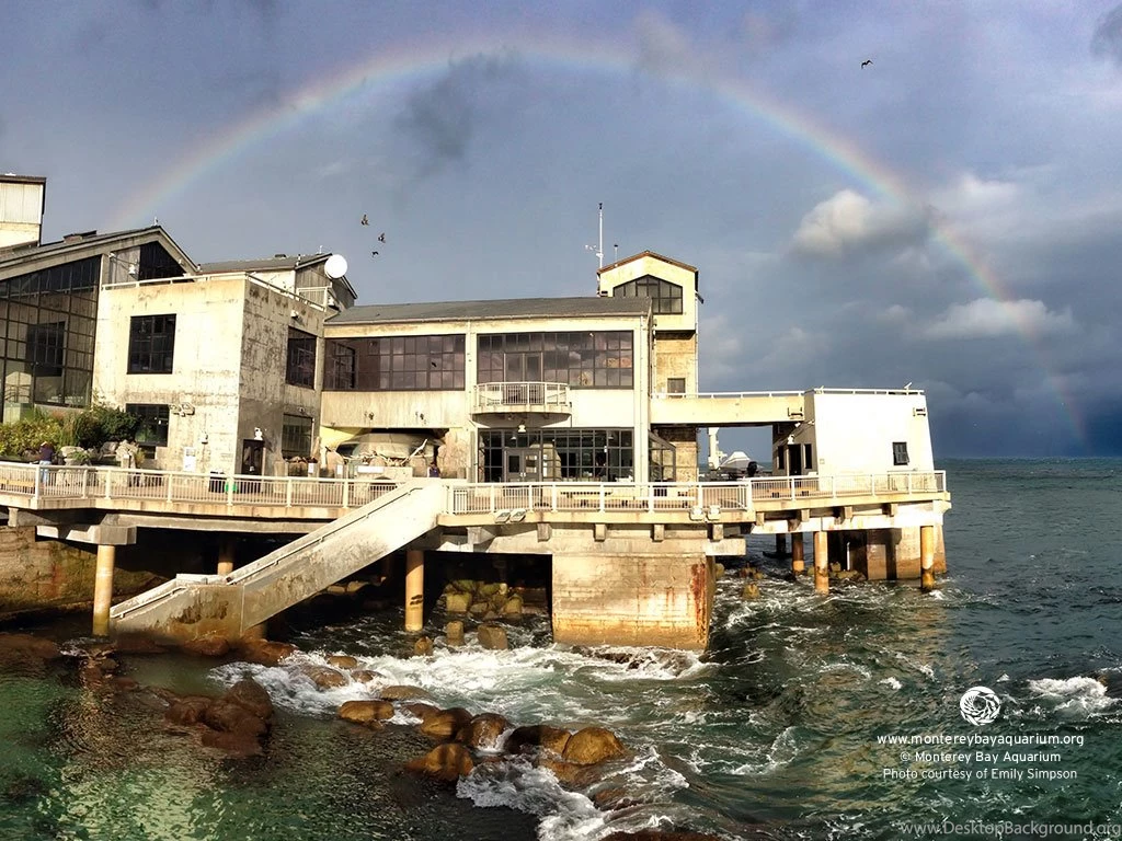 Monterey Bay Aquarium — Happy Friday! Hope You And Yours Are ...