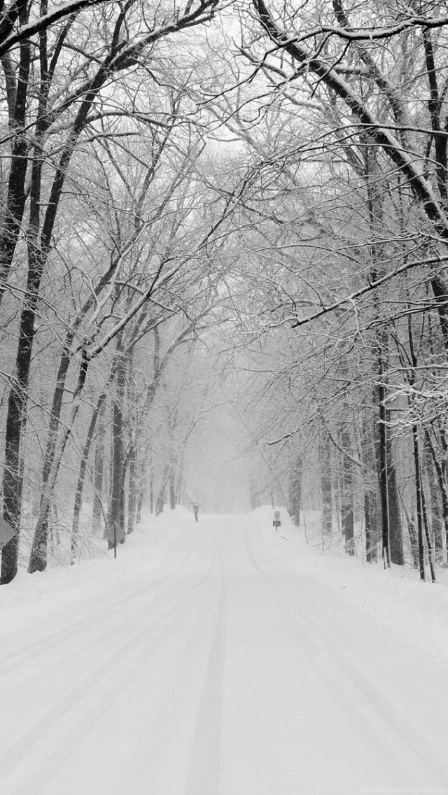 Download Wallpapers 640x1136 Avenue, Trees, Winter, Snow, Road ...