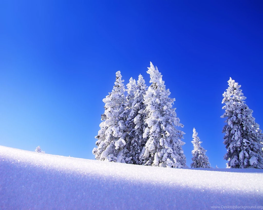 Download The Snow Caked Trees Wallpaper, Snow Caked Trees iPhone ...