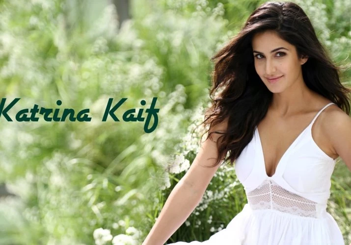 Katrina Kaif Pretty Bollywood Indian Girl Wallpapers Wallpapers