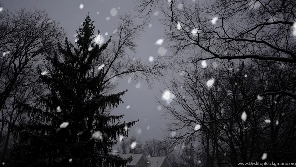 Free Stock Footage Snow Falling With Trees Motion Backgrounds HD ...