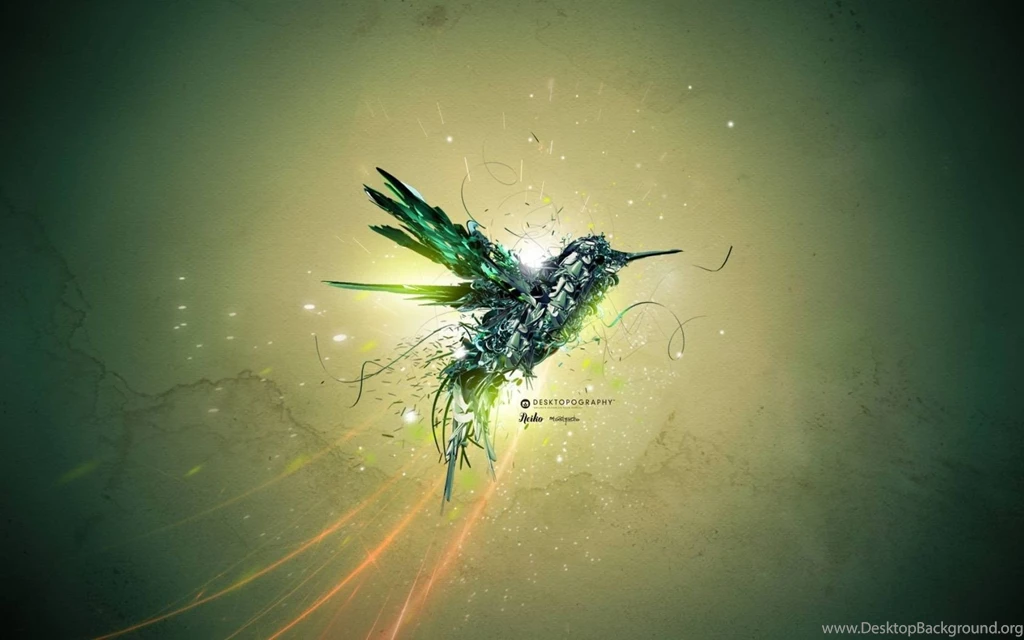 Free Hummingbird Wallpapers Wallpapers Cave
