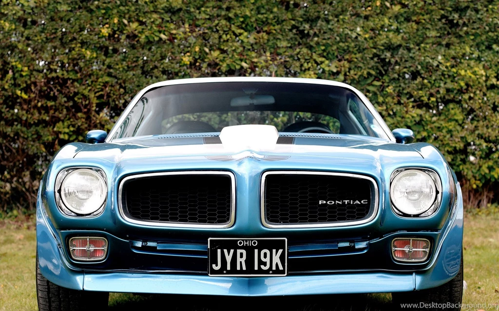 Pontiac Firebird Beautiful Wallpapers Pictures
