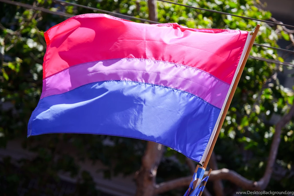 Bisexual Pride Flag   Wikipedia, The Free Encyclopedia