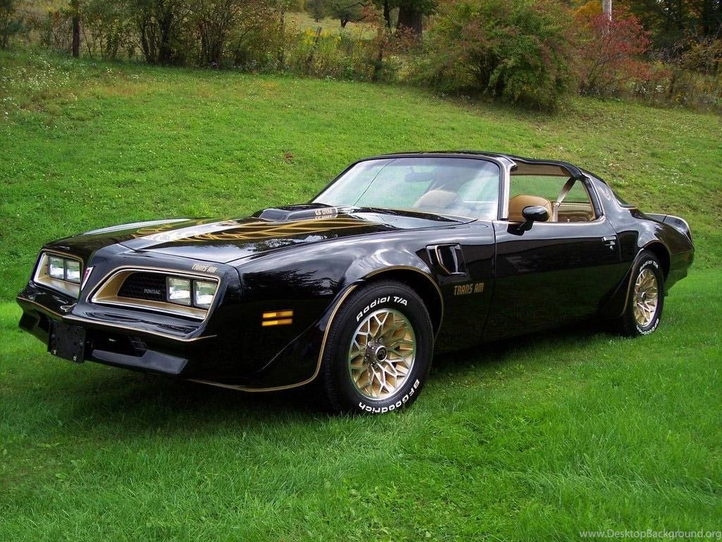 Pontiac Firebird Trans Am 1977 79   (