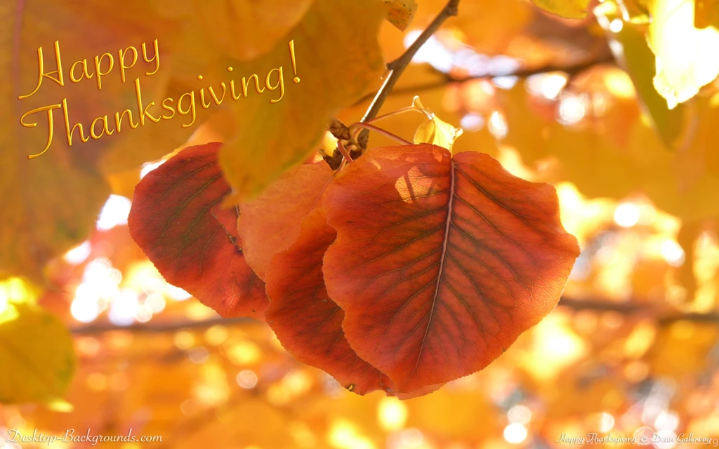 Happy Thanksgiving ~ Desktop Backgrounds.com