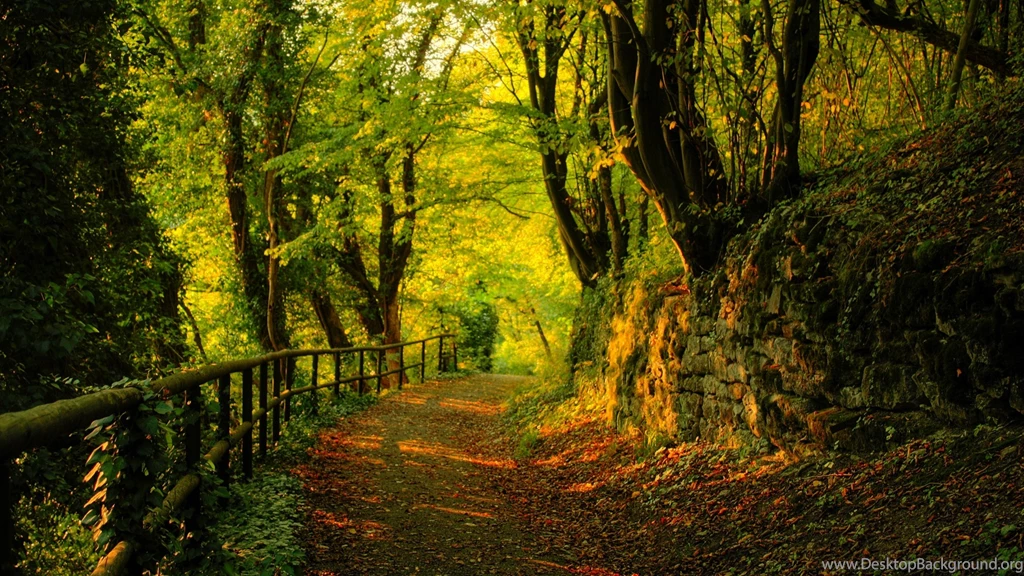 Hd Wallpaper Images Page 185