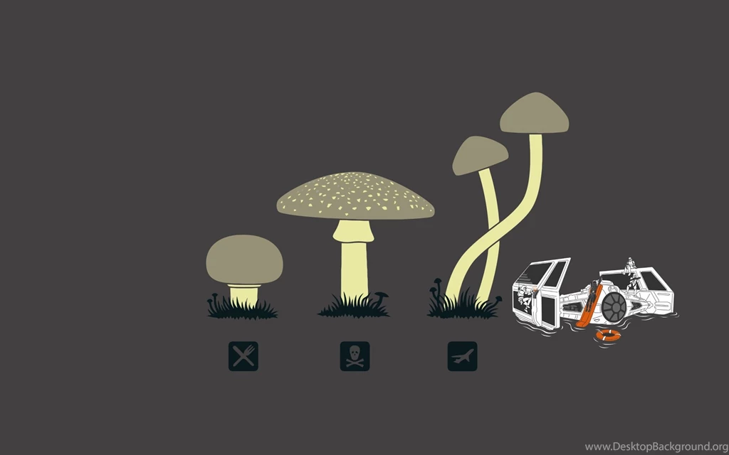 Shroom Wallpapers   Wallpapers Cave