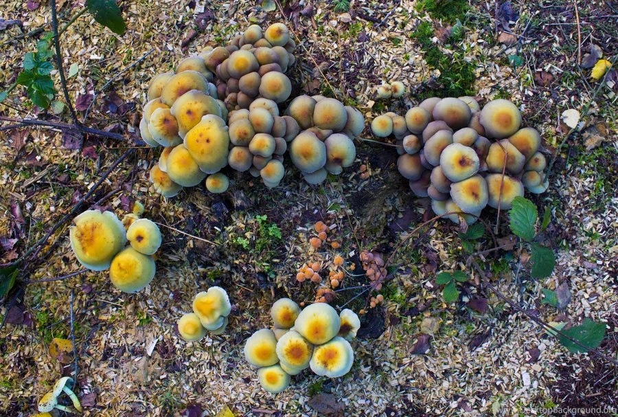 Browsing Photography On DeviantArt