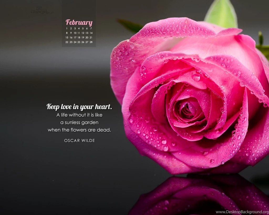 February Desktop Wallpapers Free February Desktop Backgrounds