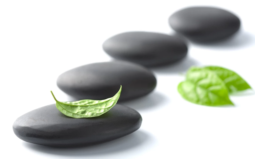 Flat Black Stones And Green Leaves HD Wallpapers