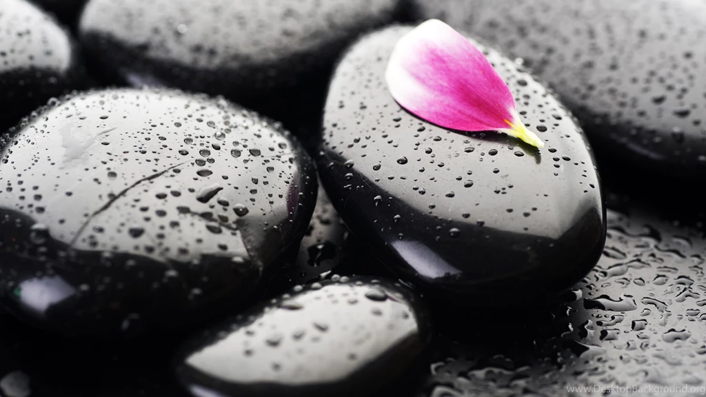 Black Stone Fresh Nature Wallpapers HD Free Des