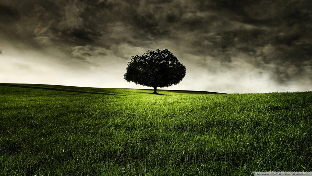 Download Peace Of Mind Wallpapers 1920x1080