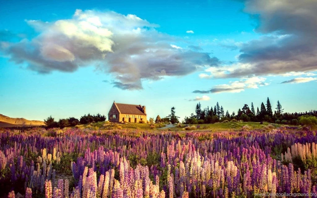 SOOTHING PEACE OF MIND PICTURES