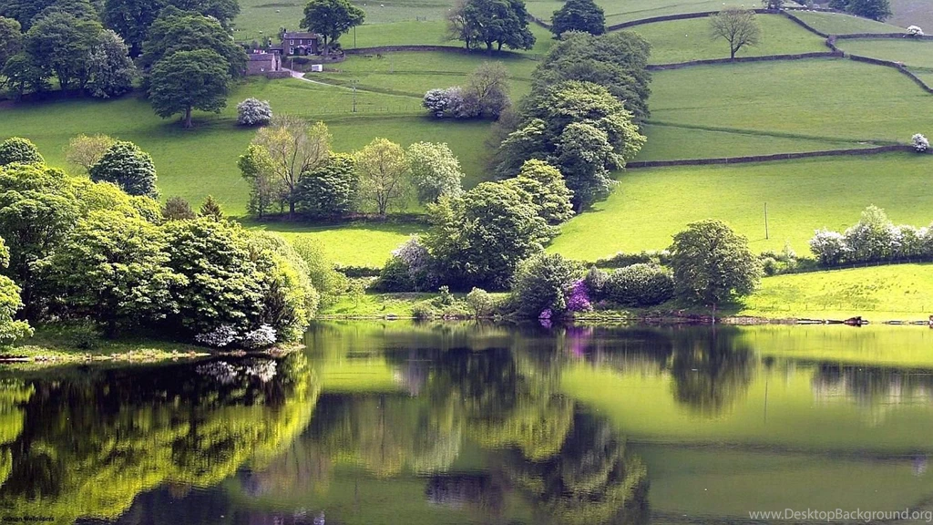 SOOTHING PEACE OF MIND PICTURES