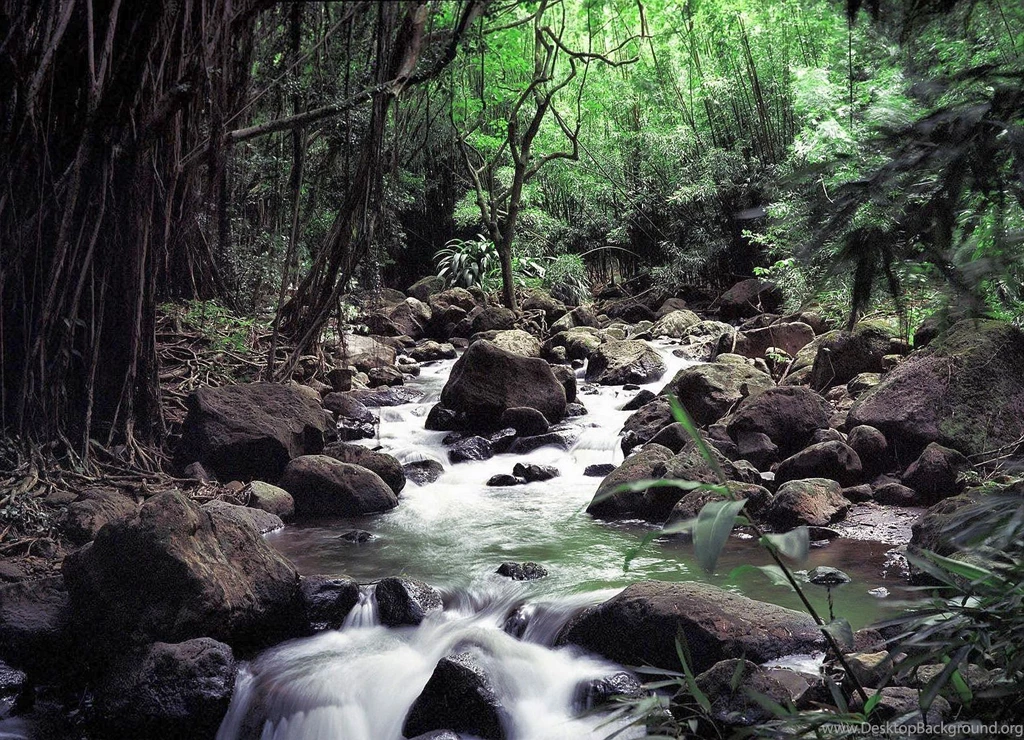 Peaceful Pictures Of Nature Wallpapers HD Base