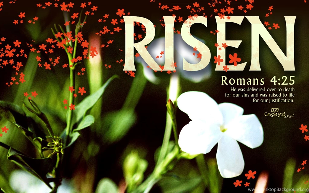 Bible Verses Christian Wallpapers Romans Bing Images