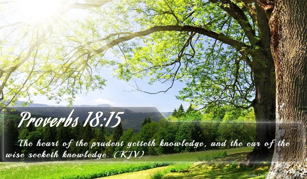Bible Wallpapers Free Bible Verse Wallpapers 16