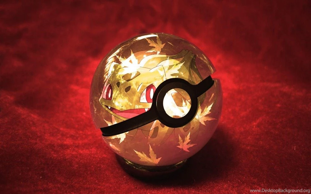 26A+ OEM Pokemon Pikachu Nintendo Game Logo Cartoon Large Ball ...