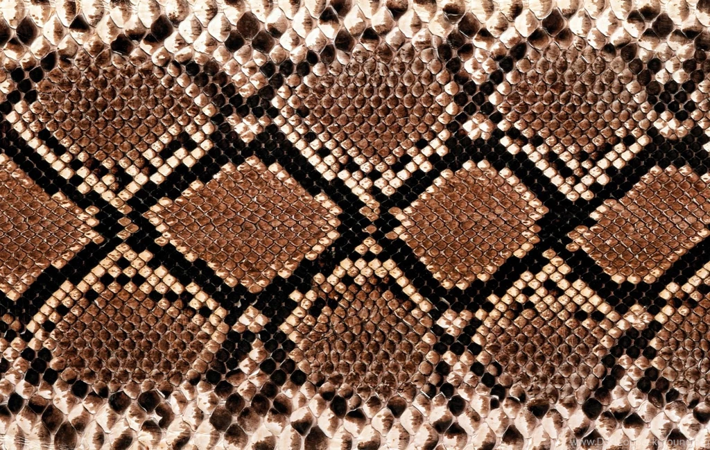 Leopard Print Wallpapers Desktop Backgrounds