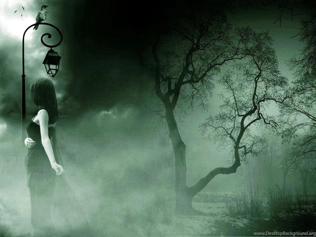 Dark Forest Landscape 4 HD Wallpapers